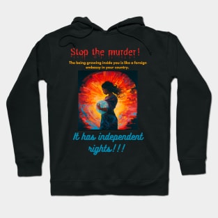 Stop the murder! The being growing inside you is like a foreign embassy in your country. It has independent rights! Hoodie